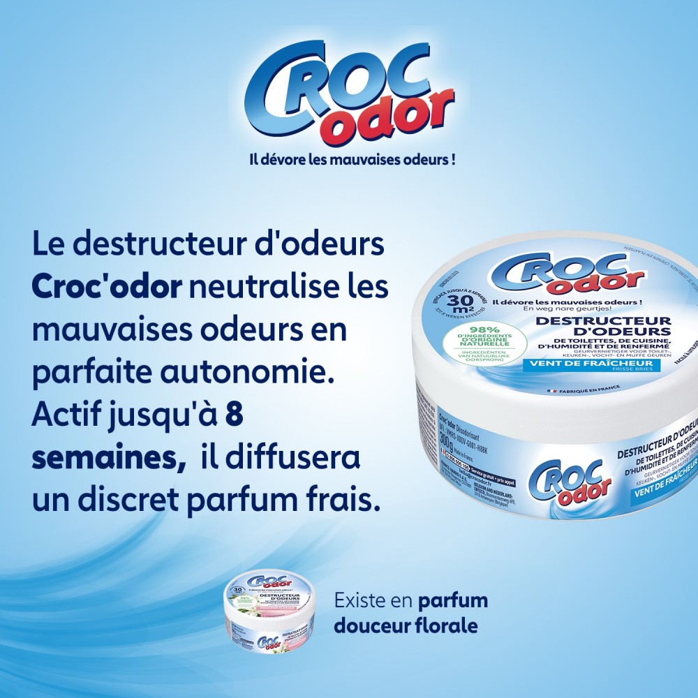 Acheter Destructeur d'odeur vent de fraîcheur