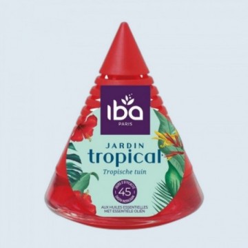 Briochin - Pyramide de parfum d'intérieur Jardin Tropical