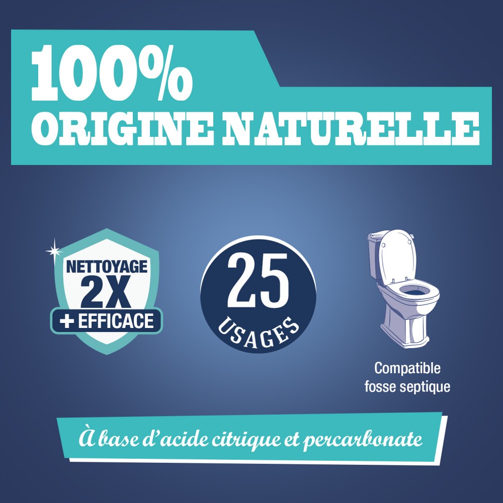 Acheter Lot de 6 Poudre WC super détartrante