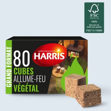 Acheter 80 cubes allume feu 100% végétal