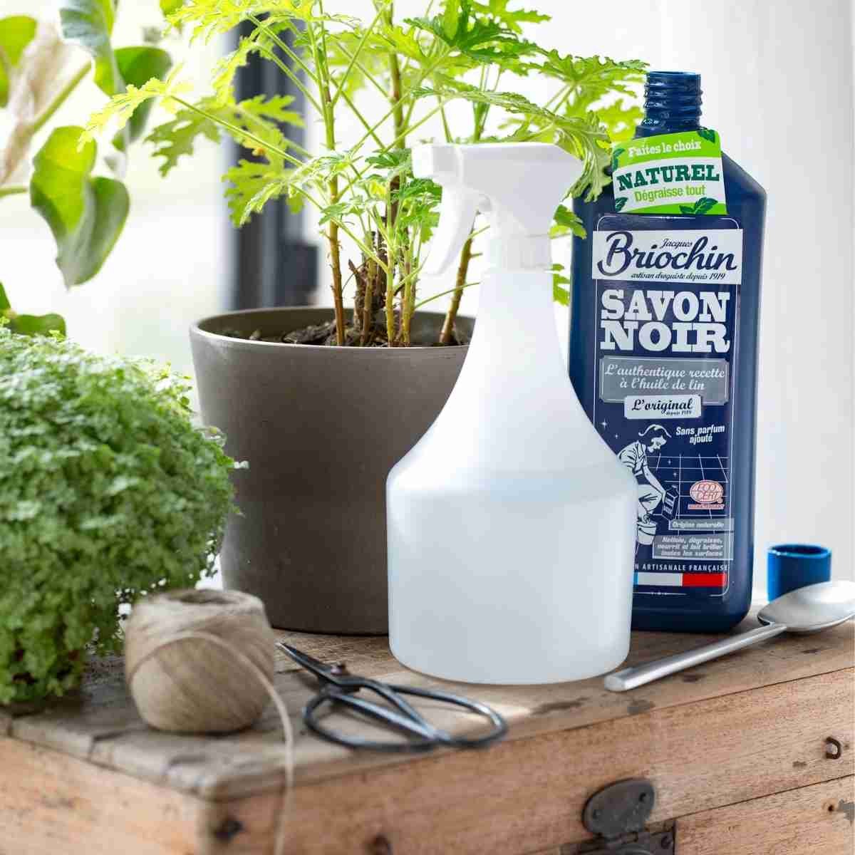 Dosage Huile De Colza Et Savon Noir La recette de répulsif au savon noir | Le Briochin